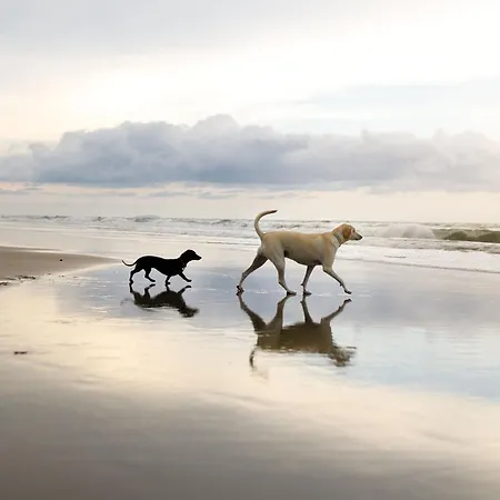 Halcyon Days - Part Of The The Bay Village With Pool, Gym And Direct Access, Pub, Restaurant, Tennis And Meadows Walks Σπίτι διακοπών